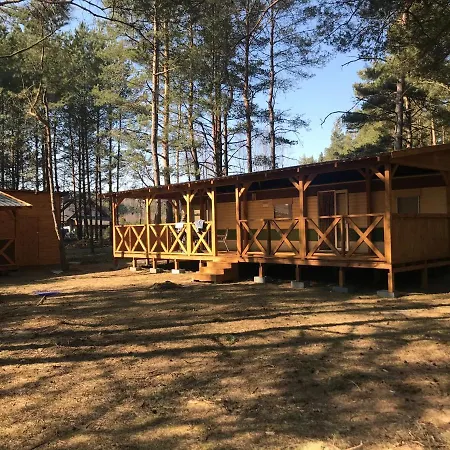 Alba Holenderskie