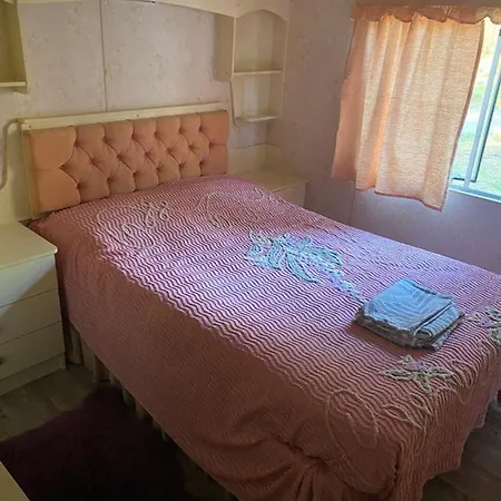 Alba Holenderskie Pelnik